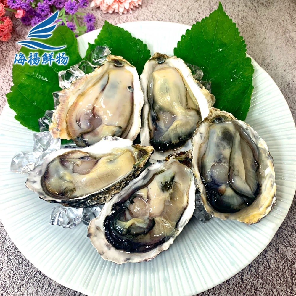 【海揚鮮物】半殼生蠔L5盒組(250g/6顆入)