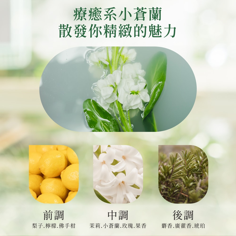 【御衣坊】帕恰狗 經典小蒼蘭香氛洗衣精1000ml-12入