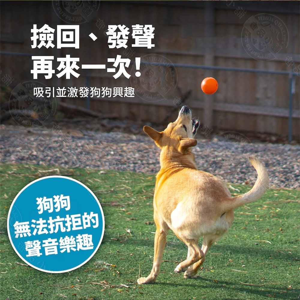 【Planet Dog】發聲咬咬球 橘色/藍色 寵物彈力玩具 耐咬 玩耍 啾啾聲 抗憂鬱