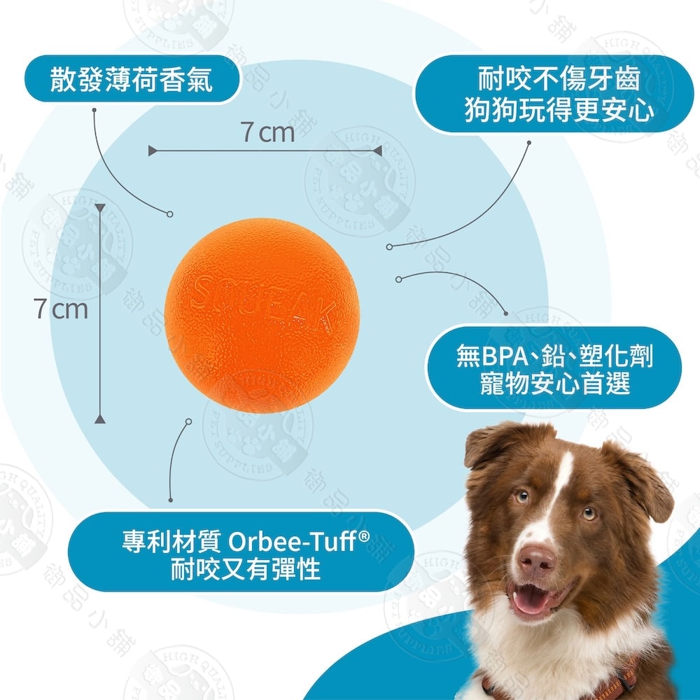 【Planet Dog】發聲咬咬球 橘色/藍色 寵物彈力玩具 耐咬 玩耍 啾啾聲 抗憂鬱