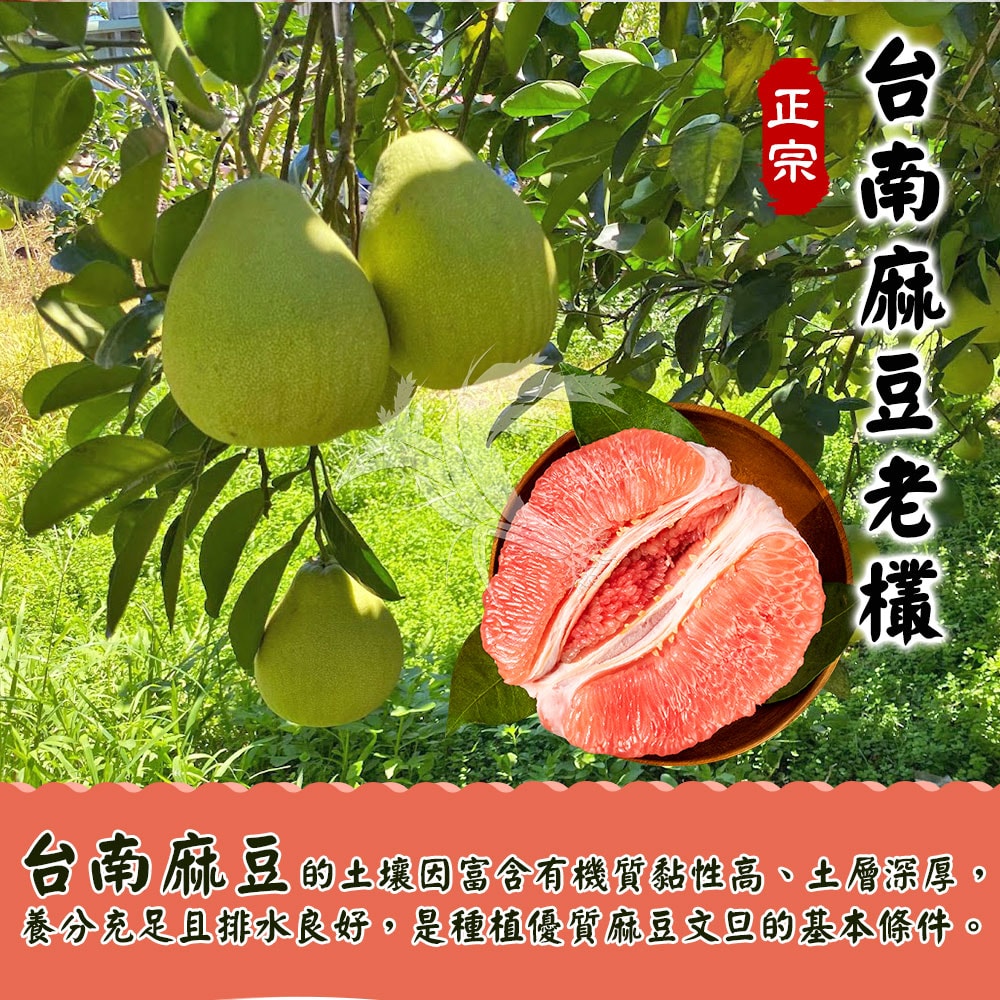 【禾鴻】台南麻豆40年老欉文旦紅柚禮盒4斤x4盒(2-4顆/盒_SGS+產銷履歷)
