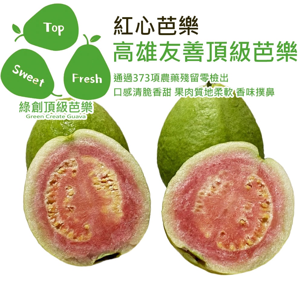 【綠創頂級芭樂】(預購)100%友善耕種 高雄大樹產地直送-紅心芭樂10台斤(約12-16顆)(下訂後8個工作天內出貨)_冷藏宅配