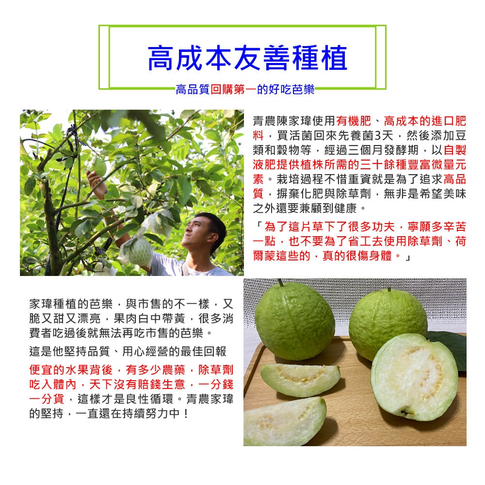 【綠創頂級芭樂】(預購)100%友善耕種 高雄大樹產地直送-珍珠芭樂10台斤(約12-16顆)(下訂後8個工作天內出貨)_冷藏宅配