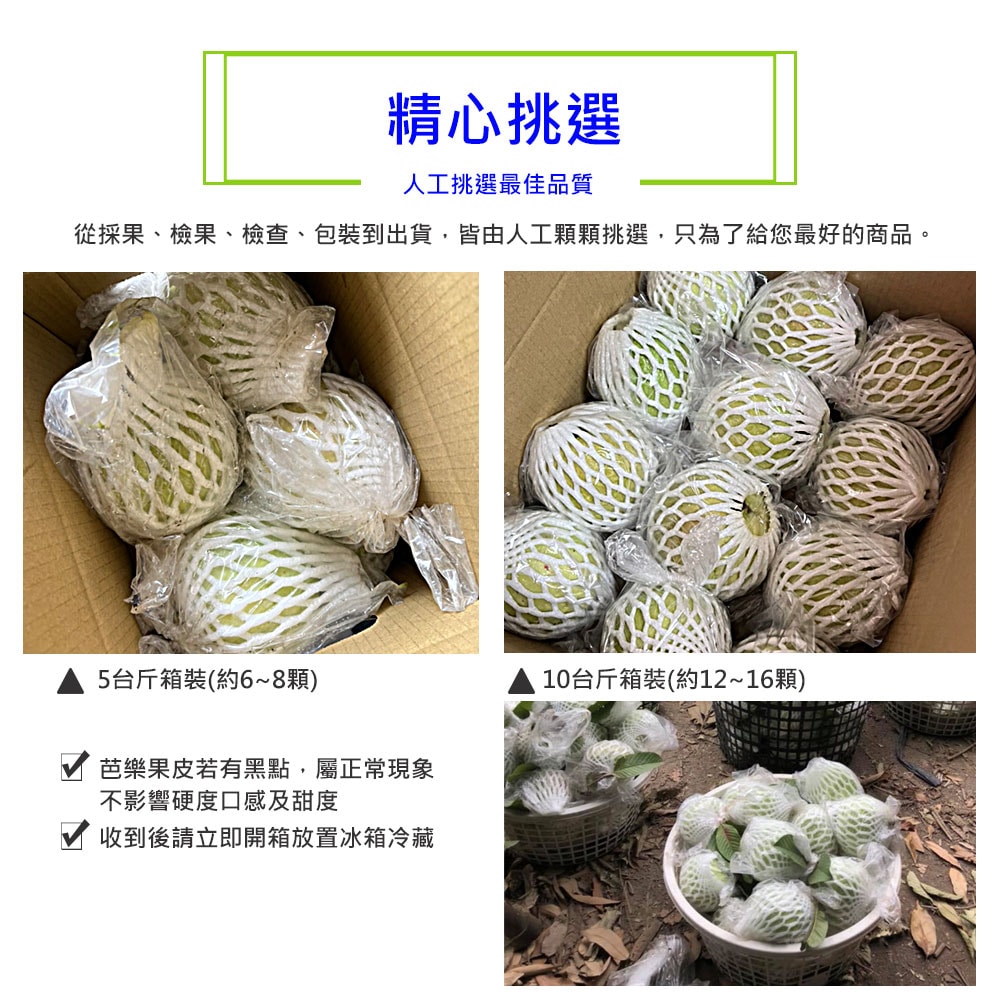 【綠創頂級芭樂】(預購)100%友善耕種 高雄大樹產地直送-珍珠芭樂10台斤(約12-16顆)(下訂後8個工作天內出貨)_冷藏宅配
