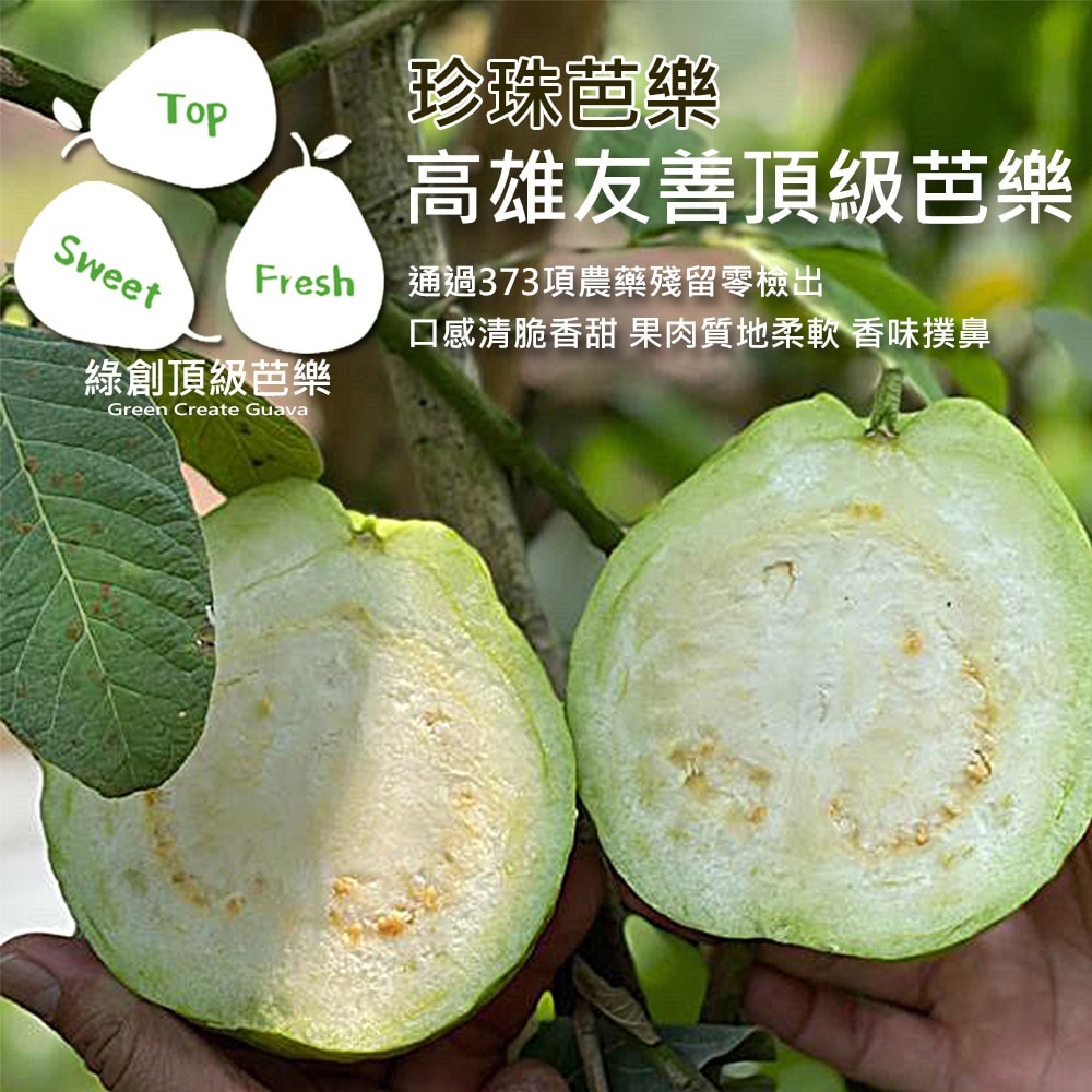 【綠創頂級芭樂】(預購)100%友善耕種 高雄大樹產地直送-珍珠芭樂10台斤(約12-16顆)(下訂後8個工作天內出貨)_冷藏宅配