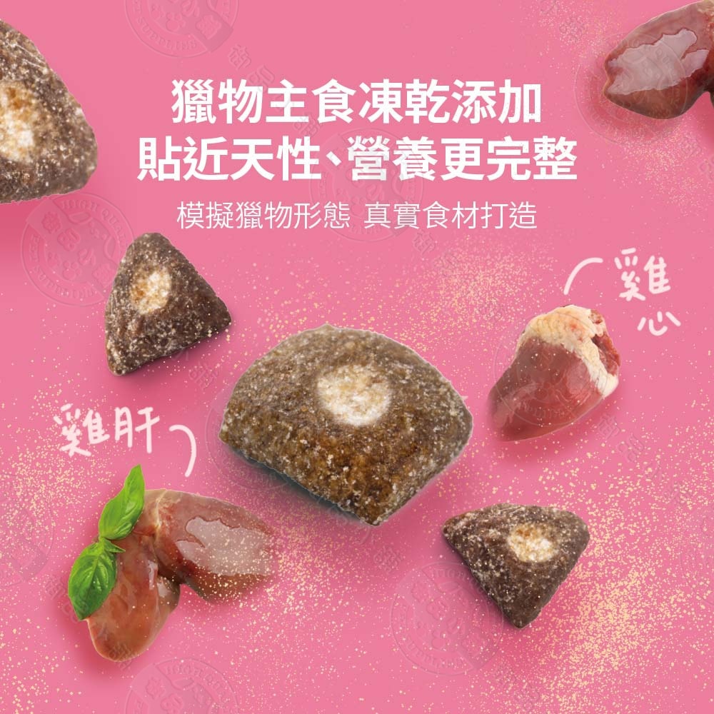 【耐吉斯】2包組 P系列 P23凍乾填心無穀雞肉餐-全齡貓 350g 凍乾飼料 專利益生菌