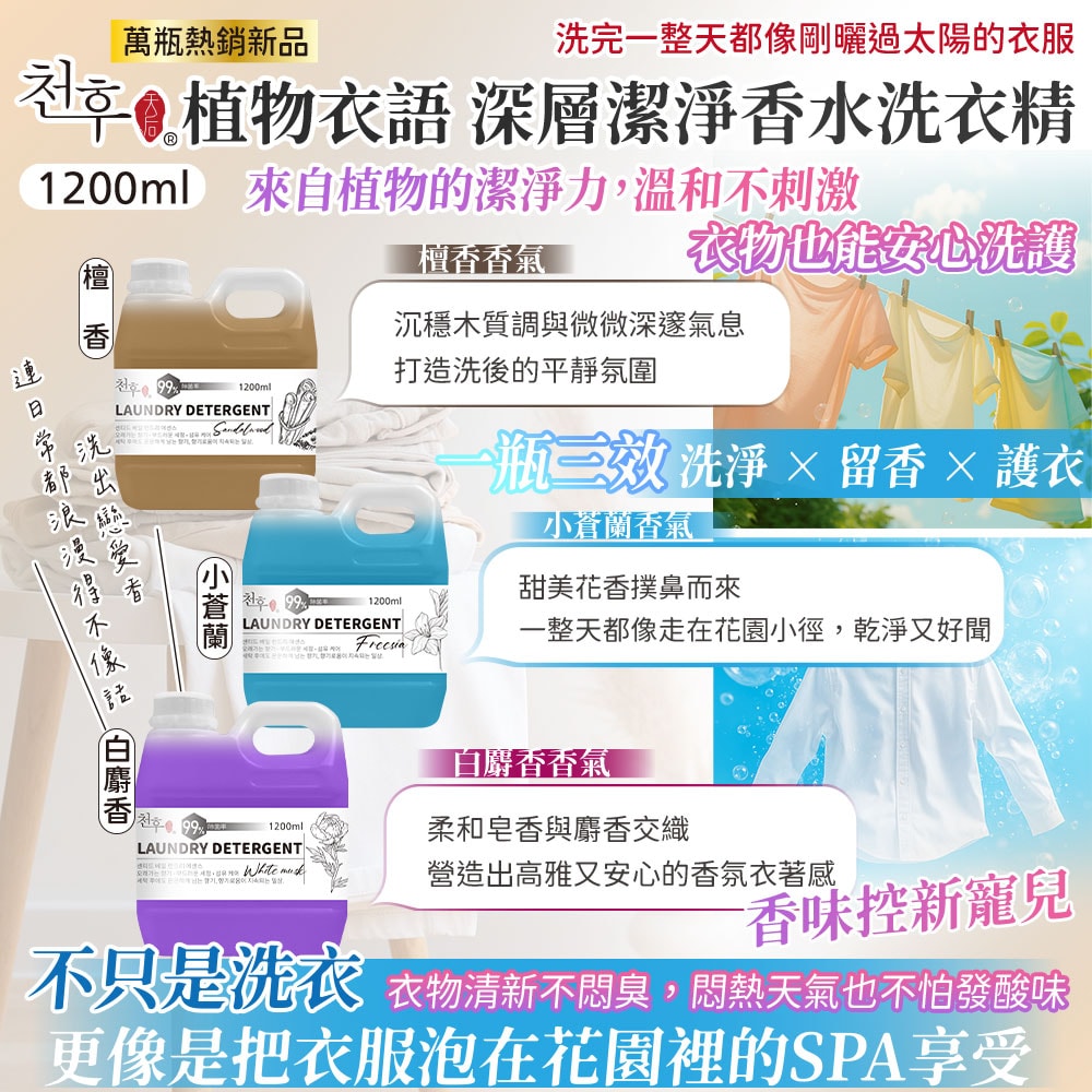【天后】植物衣語 深層潔淨香水洗衣精(檀香/白麝香/小蒼蘭)1200ml-15瓶入