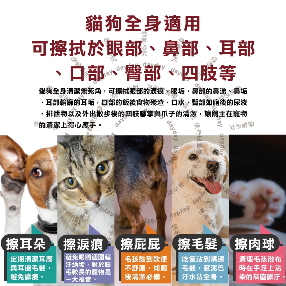 【日本KOJIMA】(80+20入增量版)咖家-寵物專用Ag銀離子植萃消臭濕紙巾100入/袋(貓狗毛髮清潔濕巾,拭淨眼耳口鼻四肢臀部,免水洗潤澤擦澡順毛)