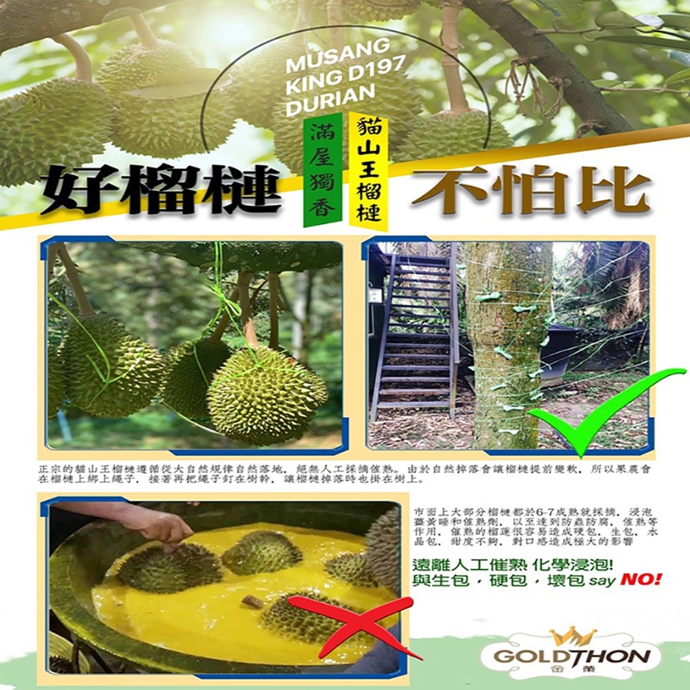 【Gold Thon】馬來西亞老樹蘇丹王榴槤果肉400克*2盒