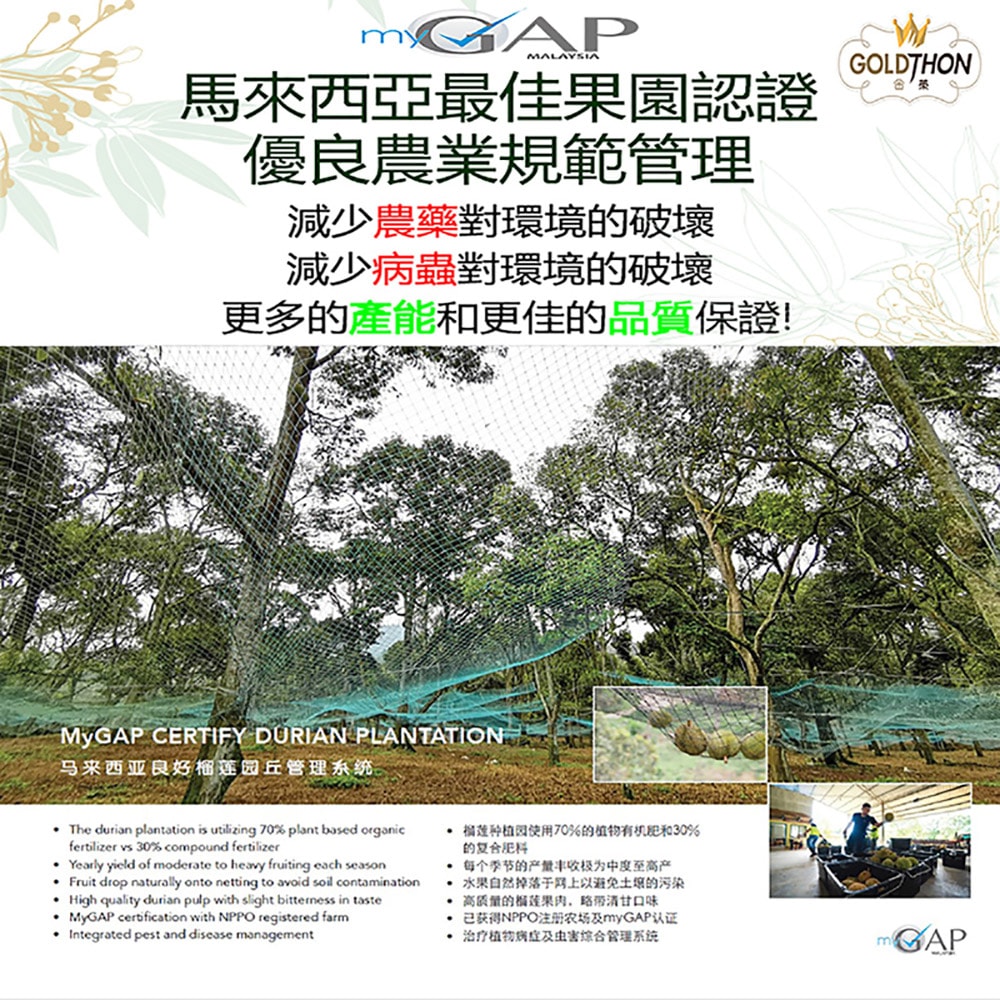【Gold Thon】馬來西亞老樹蘇丹王榴槤果肉400克*2盒