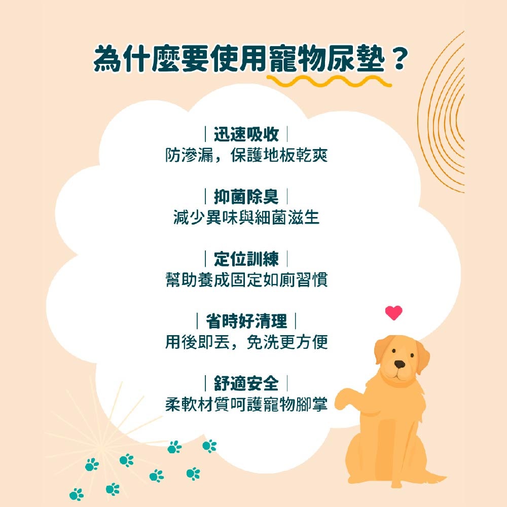 【Peepal X 我不是胖虎】Peepal 寵物尿墊 M/L/XL (8包/箱)