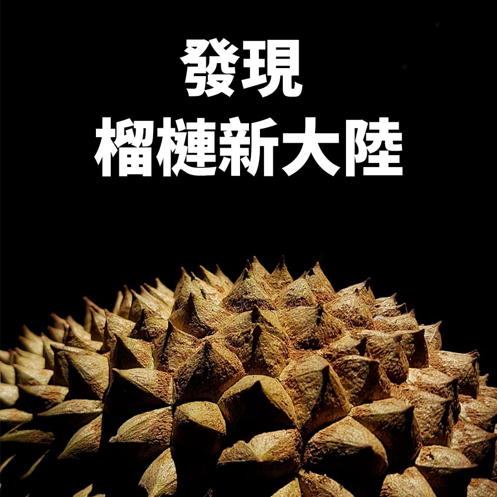 【Gold Thon】貓山王榴槤6吋披薩120公克*6片