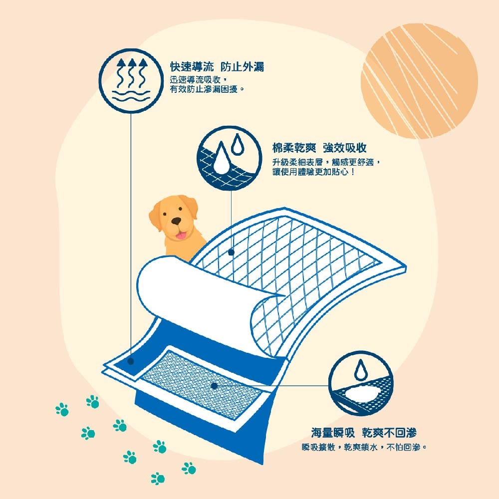 【Peepal X 我不是胖虎】Peepal 寵物尿墊 M/L/XL (8包/箱)