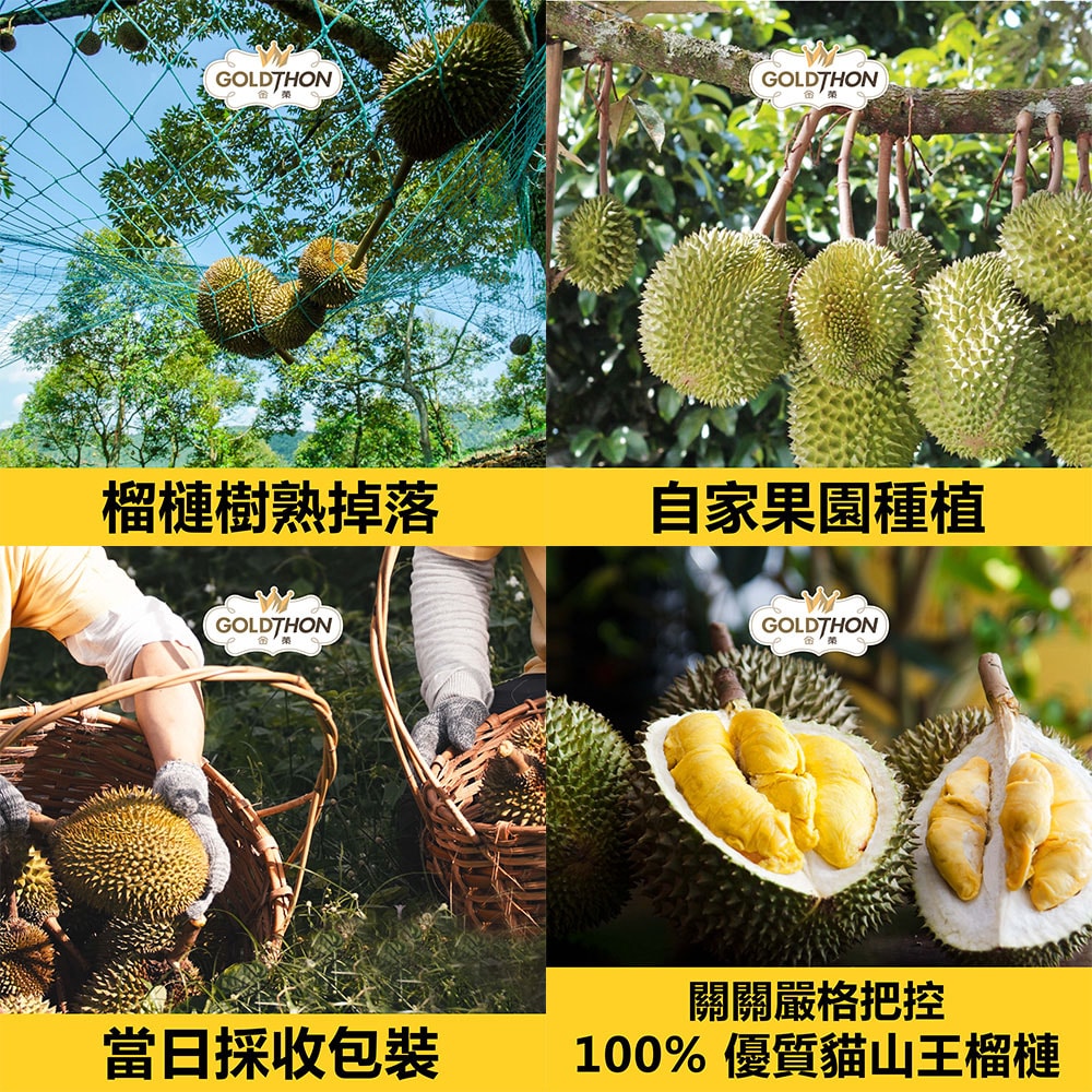 【Gold Thon】馬來西亞老樹蘇丹王榴槤果肉400克*2盒