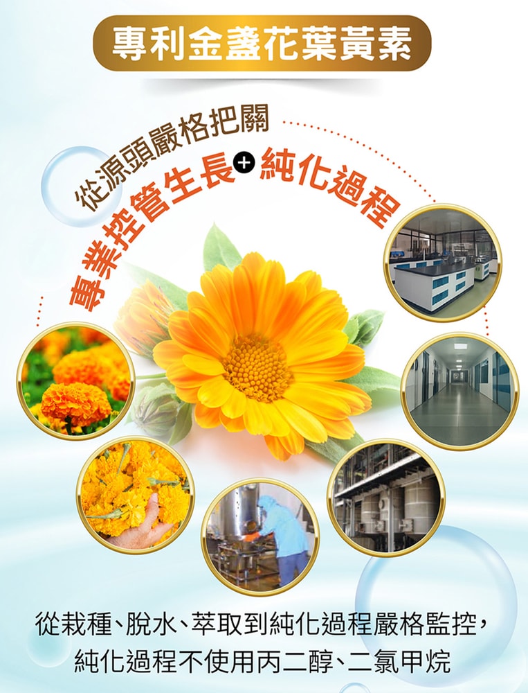 【台塑生醫】成人金盞花葉黃素PLUS複方膠囊(60粒/瓶) 2盒/組