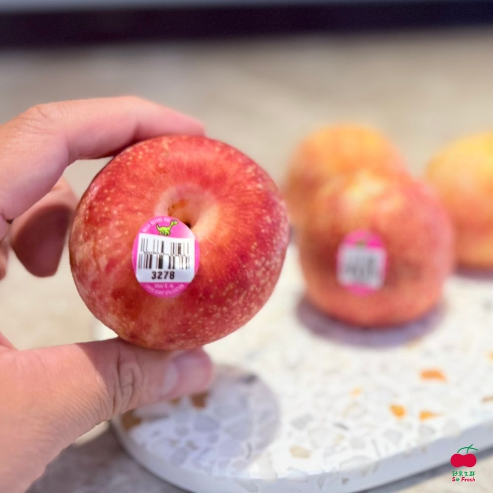 【舒果】美國紅恐龍蛋 (2袋/約16顆/約2kg/箱)