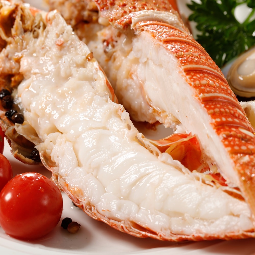 【華得水產】野生頂級龍蝦8隻組(200-250G/隻)