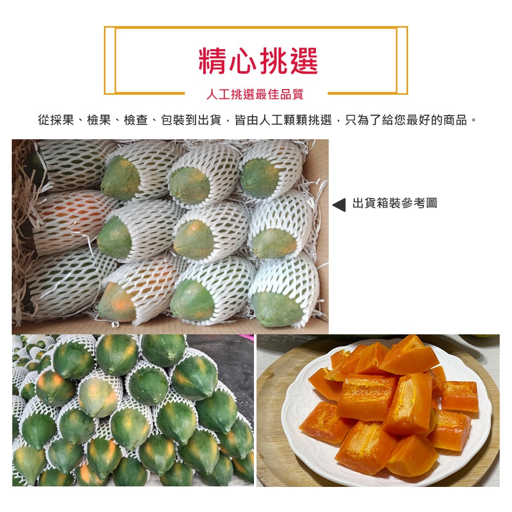 【草地囝仔阿昌】(預購)屏東鹽埔台農2號木瓜10斤x1箱(約8-12顆/箱_產地直送_友善耕種)(下訂後7個工作天內出貨)