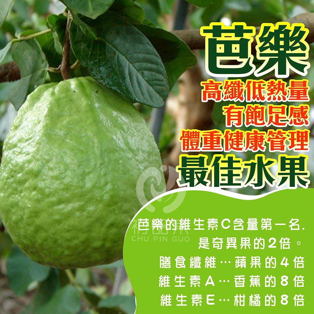 【初品果】產地直送黃金蜜芭樂禮盒5斤x2盒(D+7出貨)