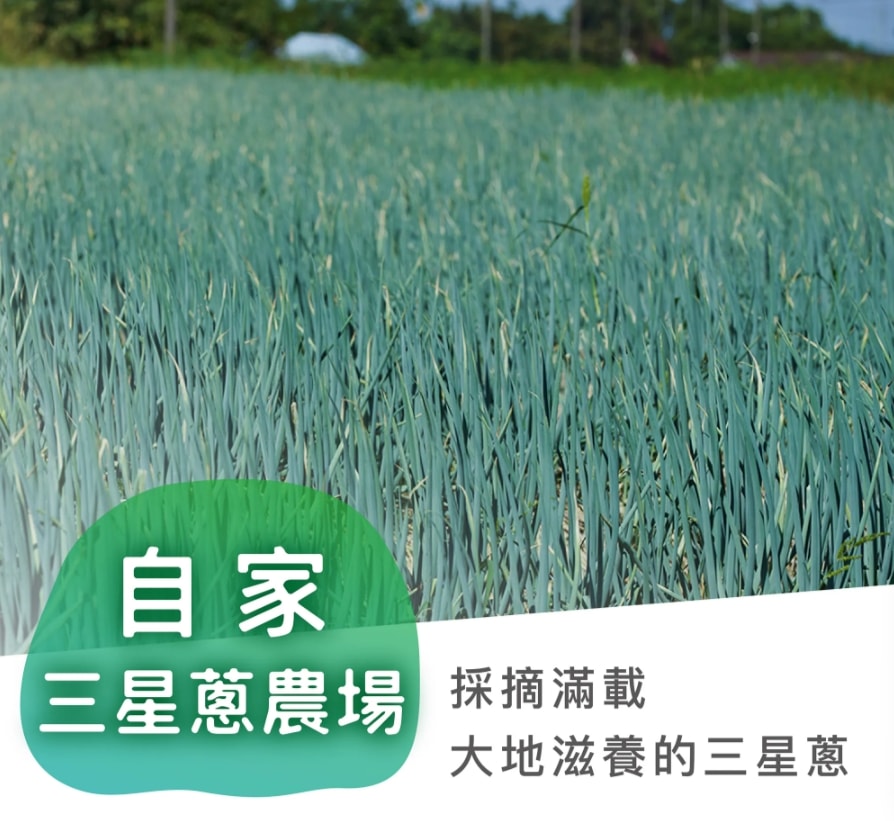 【星寶蔥達人】超人氣三星蔥派4包組(蔥派/蔥油餅/紅豆煎餅)