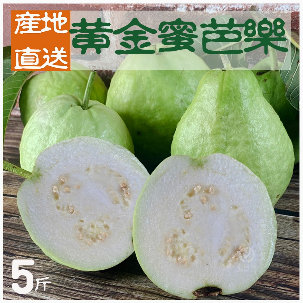 【初品果】產地直送黃金蜜芭樂禮盒5斤x1盒(下單後7個工作天開始出貨)
