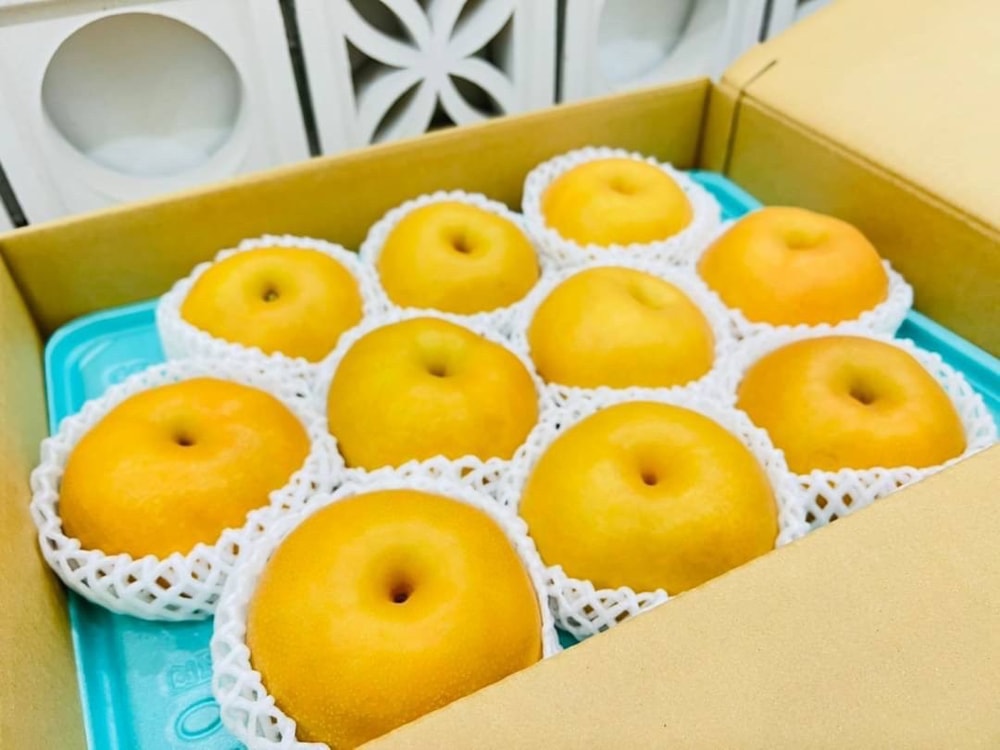 【帕查嬤嬤】🇯🇵日本 長野信州 水梨之王-南水梨 10顆原裝箱🍐|日本南水梨禮盒