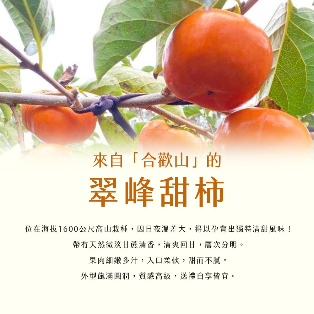 【雪莉朵辣嚴選】合歡山 翠峰甜柿 14A特大果5粒入(4.1斤/箱)x1箱-預購