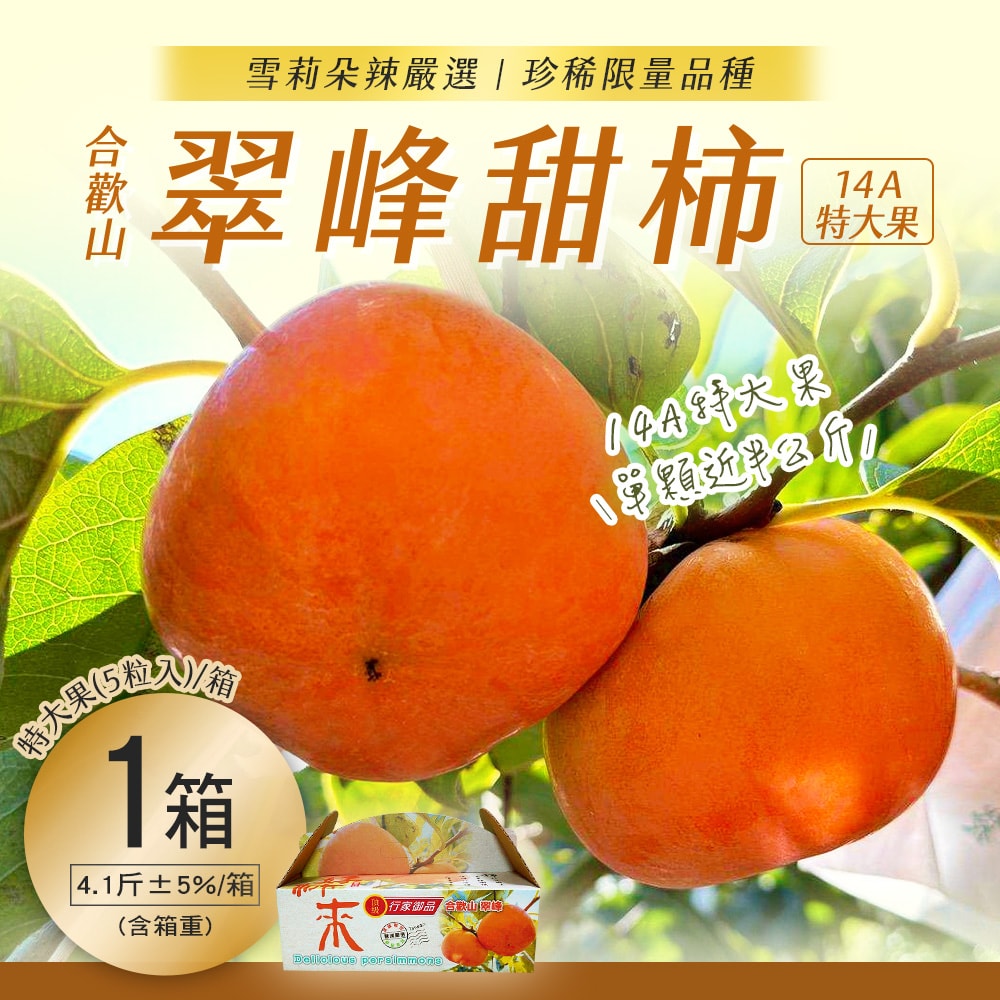 【雪莉朵辣嚴選】合歡山 翠峰甜柿 14A特大果5粒入(4.1斤/箱)x1箱-預購