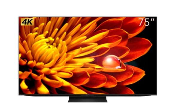 【SHARP 夏普】4T-C75FV1X 75吋 4K Google TV 電視
