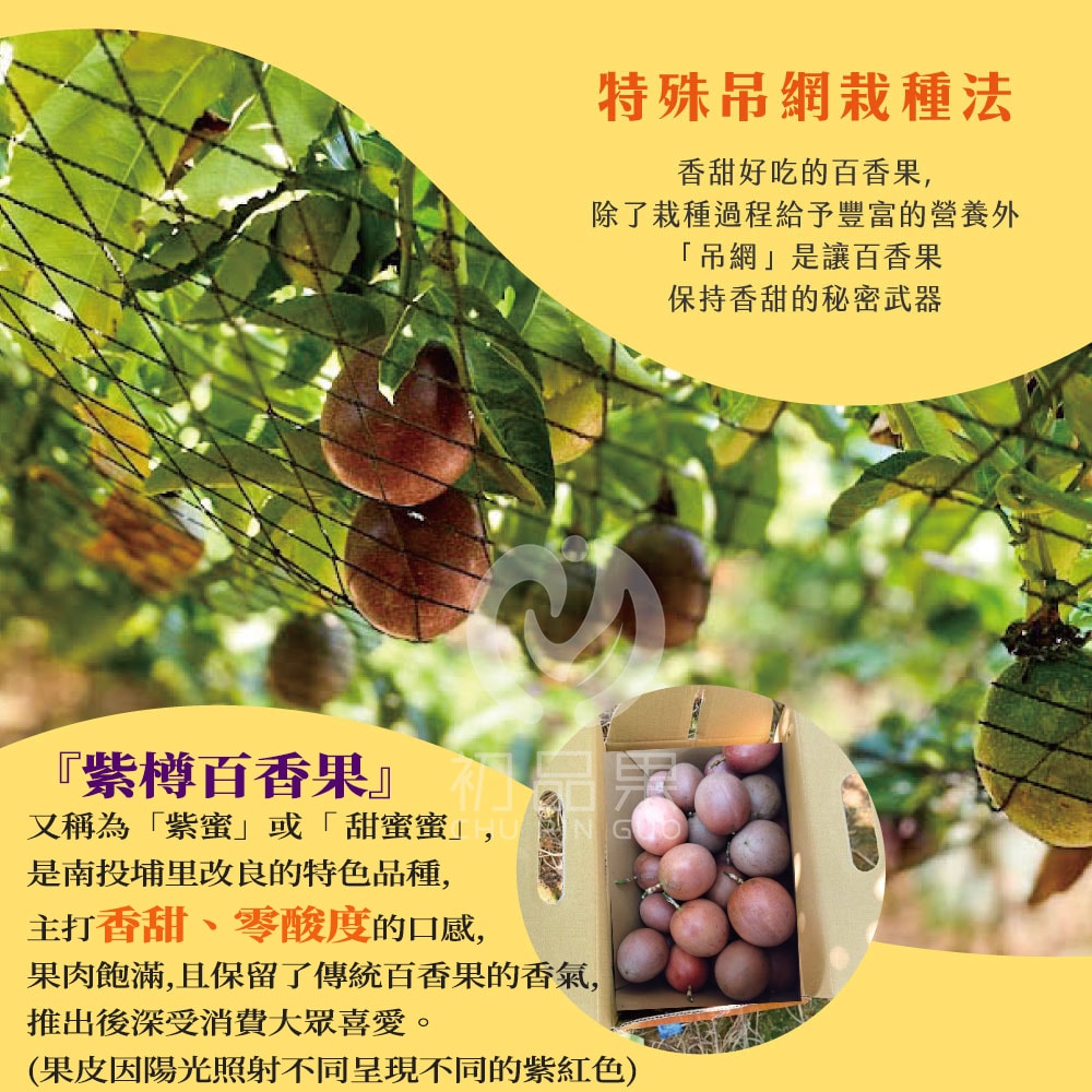 【初品果】南投埔里紫樽百香果禮盒A級5斤x1盒