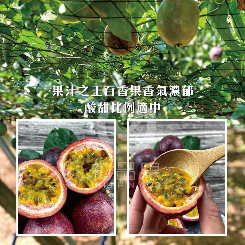 【初品果】南投埔里紫樽百香果禮盒A級5斤x1盒