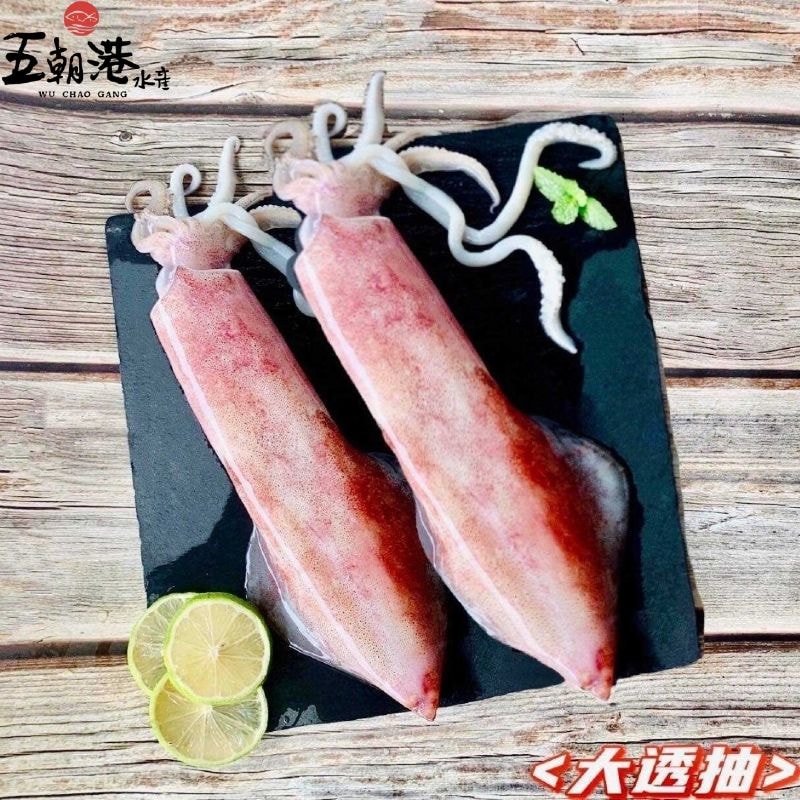 【五朝港水產】小家庭暖心呷霸組- 幸福8件組 3~6人分 火鍋組合【白蝦、海灣貝、透抽、鮭魚、蟹肉棒、鱸魚、花枝丸、青甘魚頭丁】