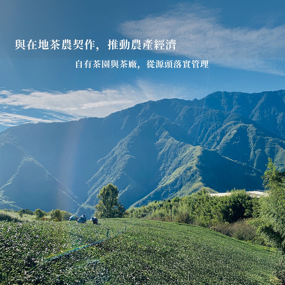 【茶境天使】彩虹茶包體驗袋｜祈禱・高山原片茶(甜香)-下單5個工作天出貨