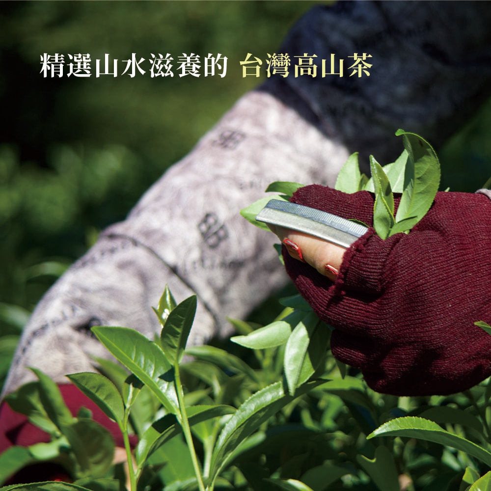 【茶境天使】彩虹茶包體驗袋|療癒・阿里山金萱(清香)-下單5個工作天出貨