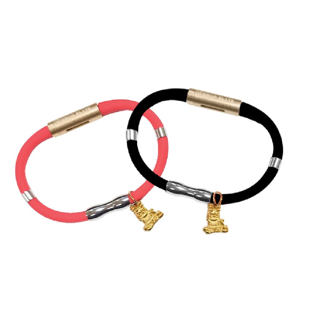 【Ergotech 人因科技】人因 Anion 奉天宮虎爺磁吸TPU矽膠錶帶