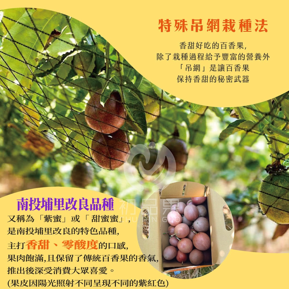 【初品果】南投埔里紫蜜百香果禮盒AA級5斤x1盒(預購12/1起開始陸續出貨)