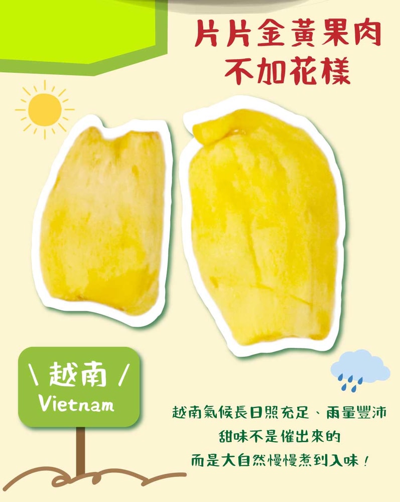 【五桔國際】菠蘿蜜脆片隨手包15g/包x10包