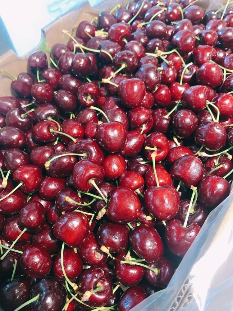 【帕查嬤嬤】🇨🇱 智利 甜櫻桃 🍒🍒|智利櫻桃禮盒