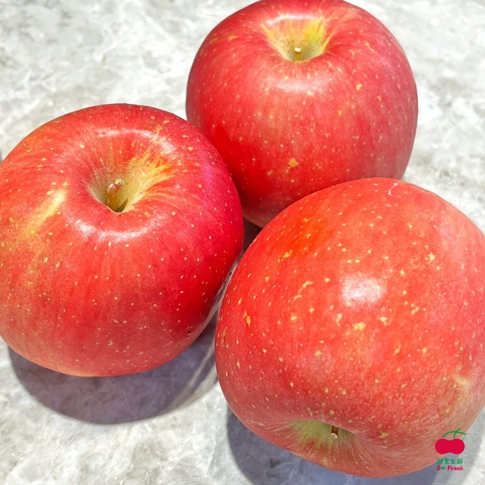 【舒果】六入美富禮盒 (6顆/約1.8kg/禮盒)