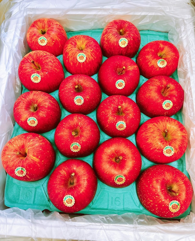 【帕查嬤嬤】🇯🇵日本 青森 蜜富士 蘋果 6玉禮盒🍎|日本青森蘋果禮盒