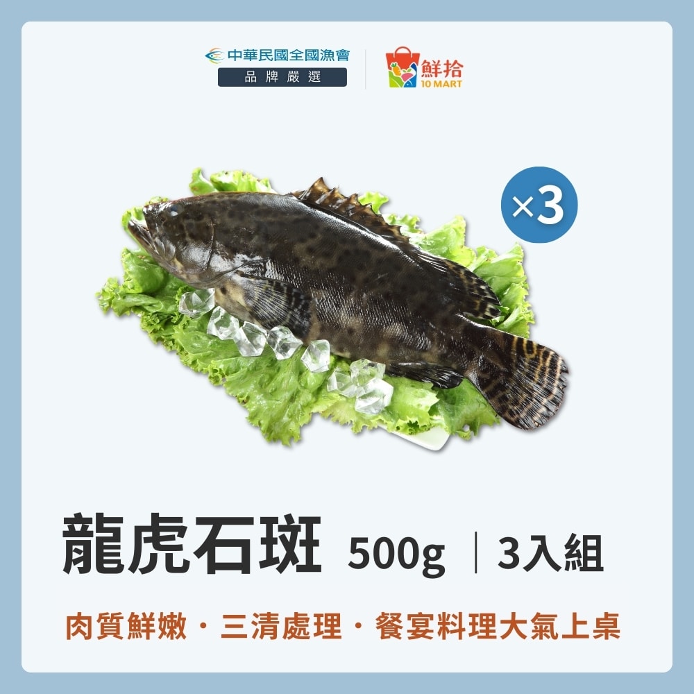 龍虎石斑- FindPrice 價格網2026年5月精選購物推薦