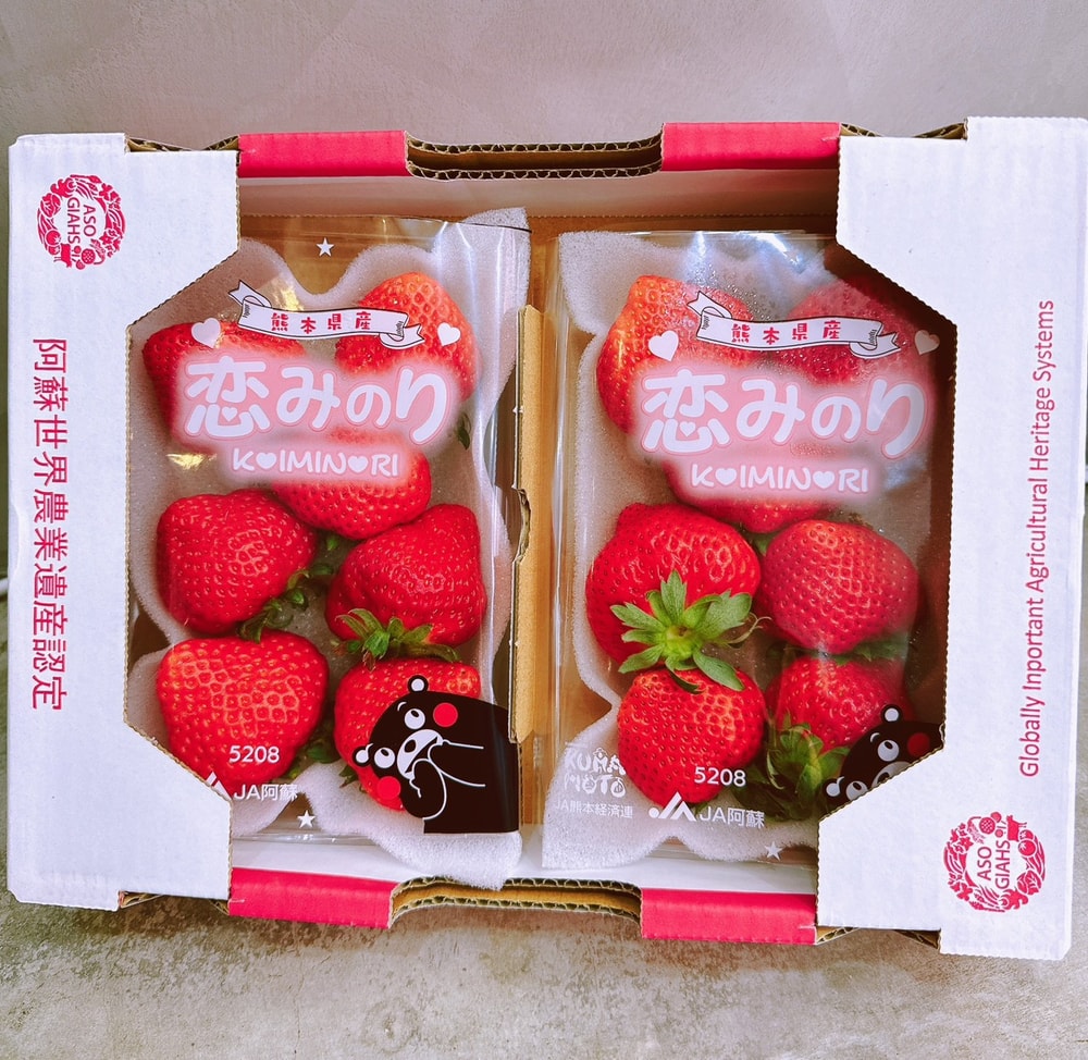 【帕查嬤嬤】🇯🇵日本 熊本 阿蘇 戀之實 恋みのり 草莓|日本草莓禮盒