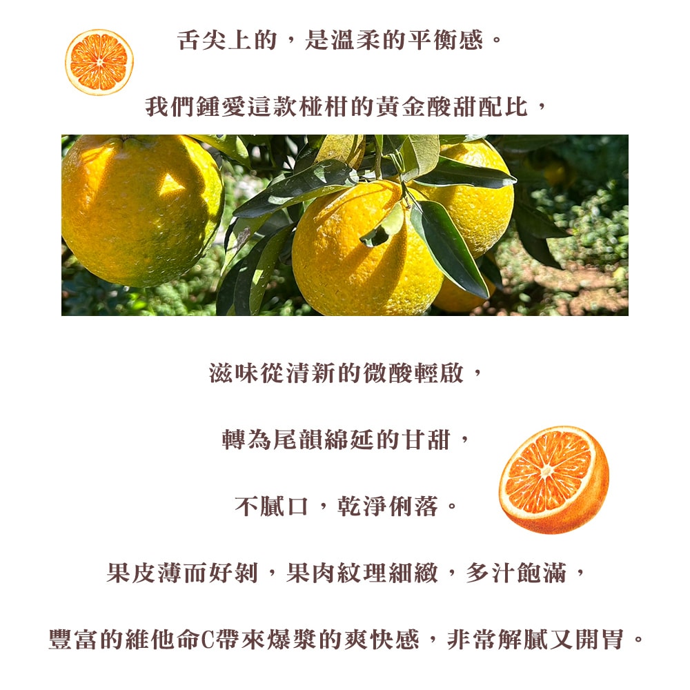 【禾鴻】台中豐原公老坪25A椪柑禮盒9斤x2箱(24粒/箱_春節水果禮盒)