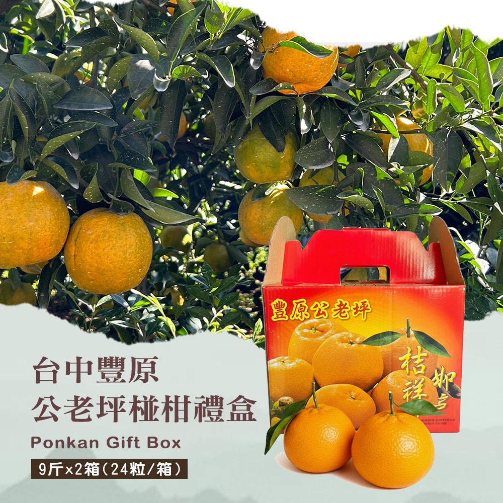 【禾鴻】台中豐原公老坪25A椪柑禮盒9斤x2箱(24粒/箱_春節水果禮盒)