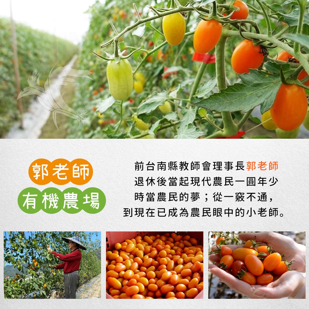 【禾鴻】郭老師農場有機認證橙蜜香小番茄禮盒4斤x2盒(淨重不帶蒂頭出貨)