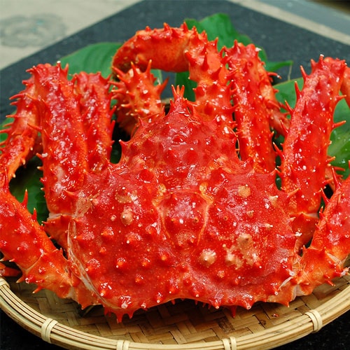 【築地一番鮮】比臉大熟凍智利帝王蟹1-1.2kg+俄羅斯(熟)松葉蟹1整隻(650G/隻)