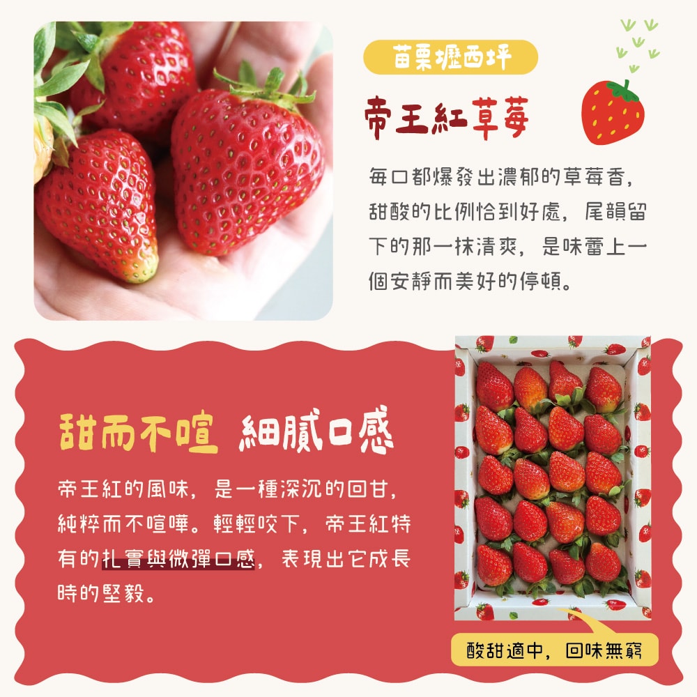 【禾鴻】【鮮果爺爺】苗栗壢西坪3號帝王紅草莓1斤禮盒x1盒(產銷履歷驗證)