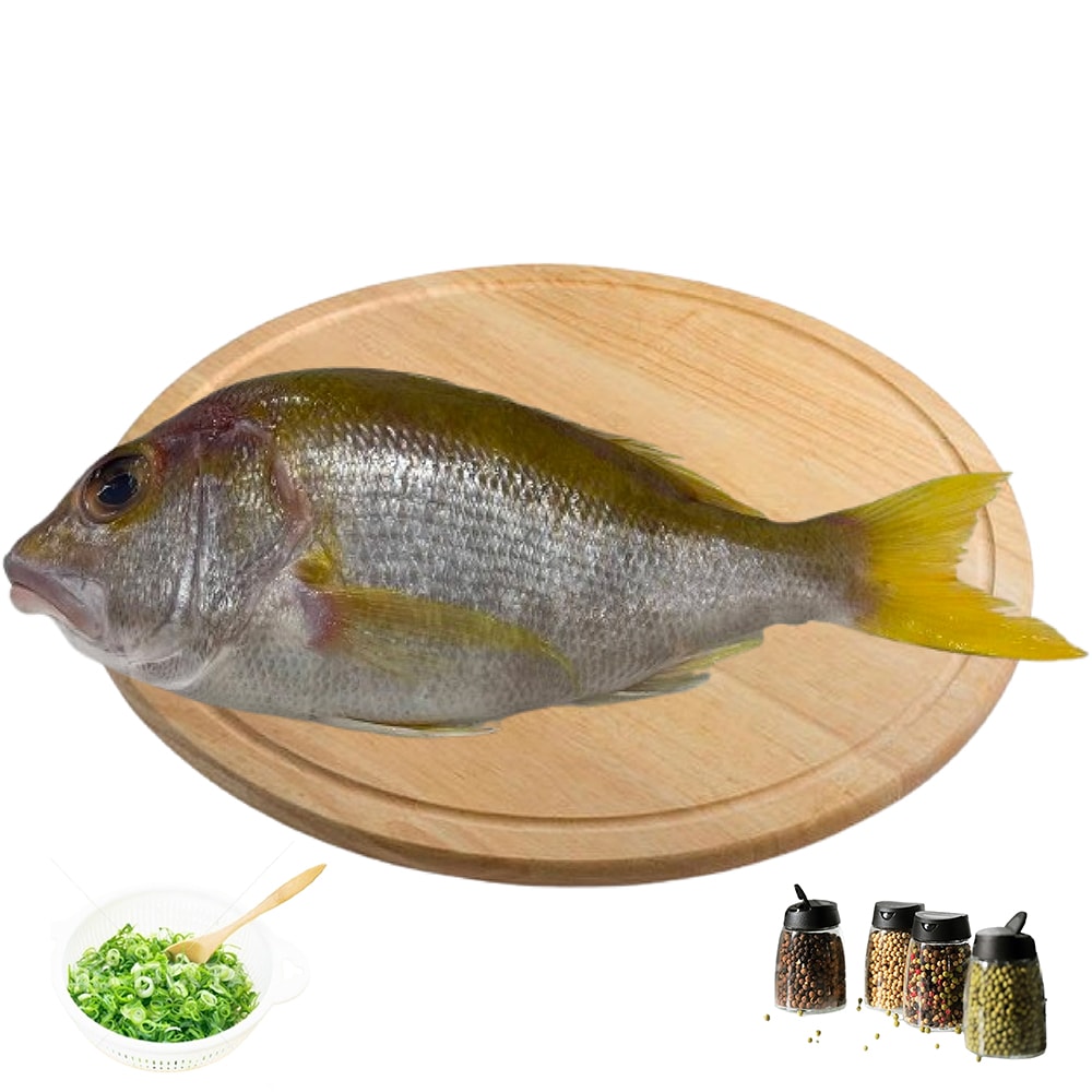 【海之醇】漁格網捕捉-野生黃笛鯛魚3隻組(400g/隻)