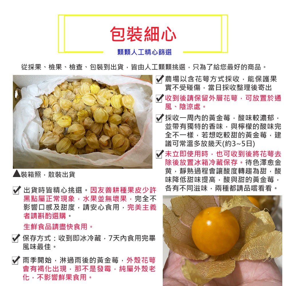 【荖家小農工作坊】預購 日本品種鮮採黃金莓2斤x1箱(不分果_散裝_彰化永靖產地直送_燈籠果_姑娘果)下訂後9個工作天內出貨