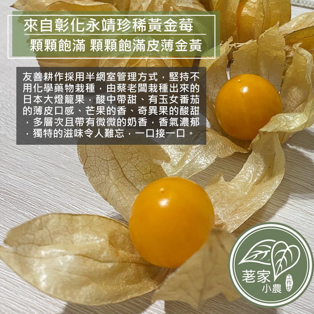 【荖家小農工作坊】預購 日本品種鮮採黃金莓2斤x1箱(不分果_散裝_彰化永靖產地直送_燈籠果_姑娘果)下訂後9個工作天內出貨